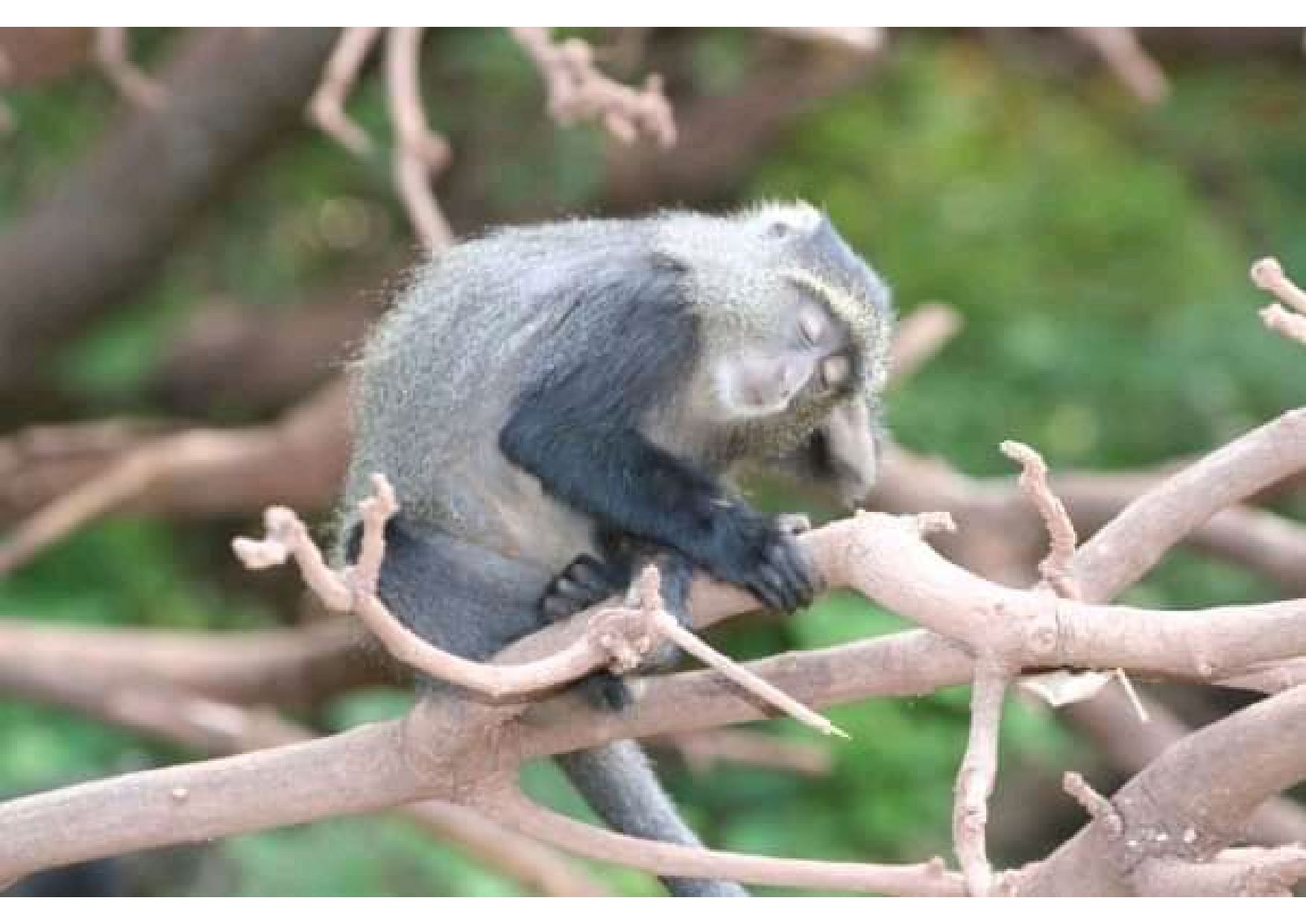 9-Day Endless Experience Adventure